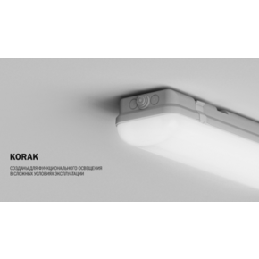 KORAK O 55W 4000K Ra80 T80 220V/Светильник LED IP65,1270x152x100мм (накладной) (БОСМА) СЕРЫЙ